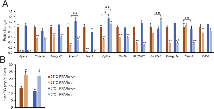 Figure 10