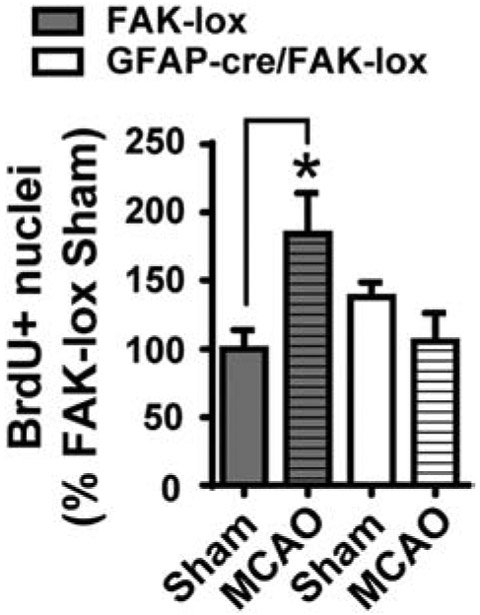 Figure 9.