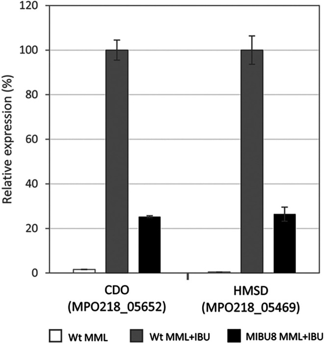 FIG 6