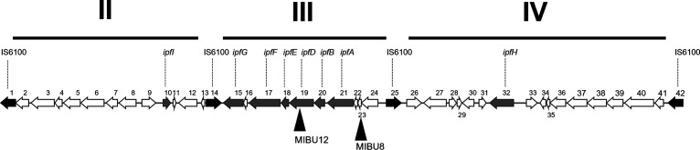 FIG 2