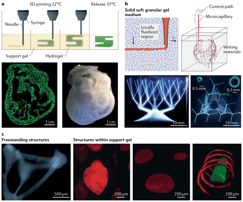 Fig. 4 |