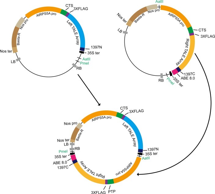 Extended Data Fig. 2