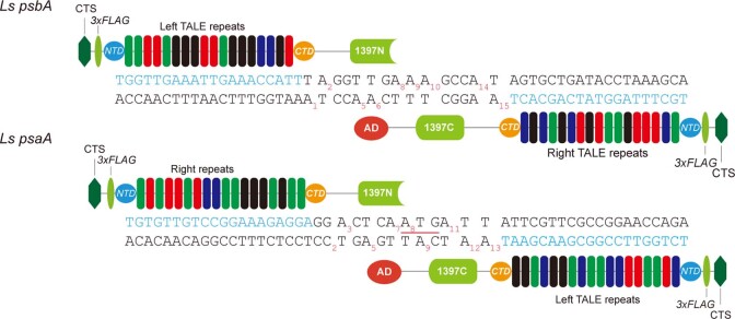 Extended Data Fig. 1