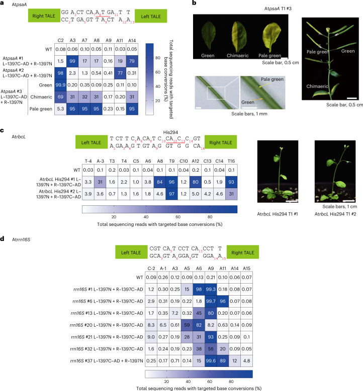 Fig. 2