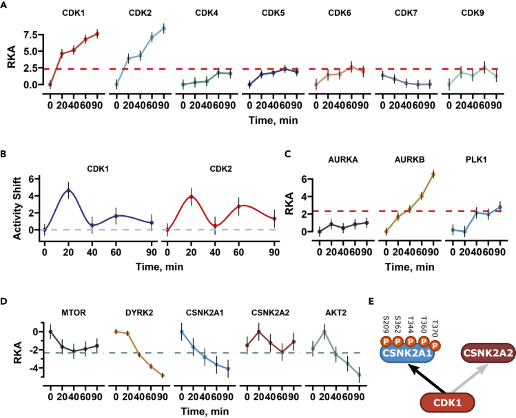 Figure 2