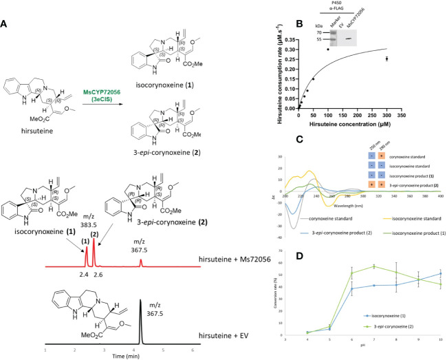 Figure 2