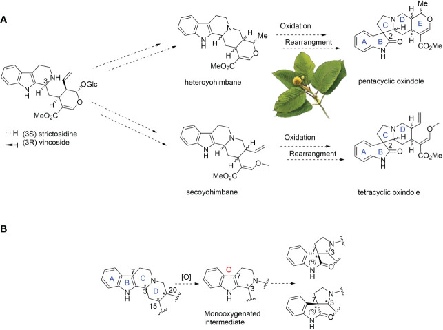 Figure 1
