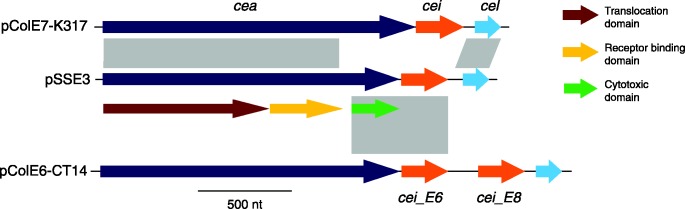 Fig. 3.