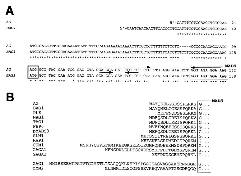 FIG. 6