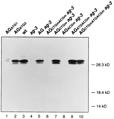 FIG. 5