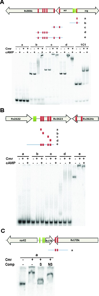 Figure 9.