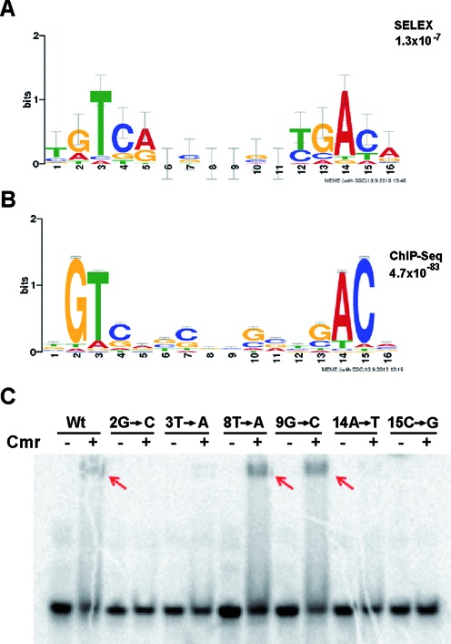 Figure 5.