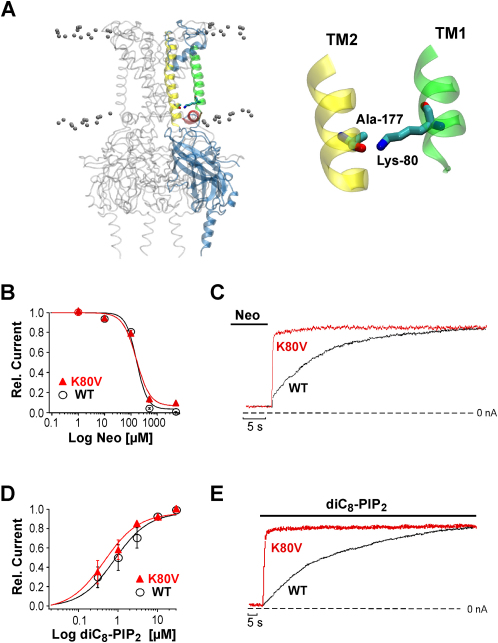 Figure 2