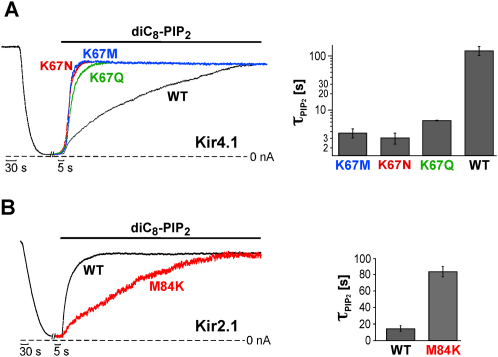 Figure 4