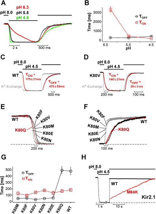 Figure 6