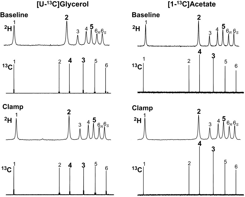 Fig. 2.