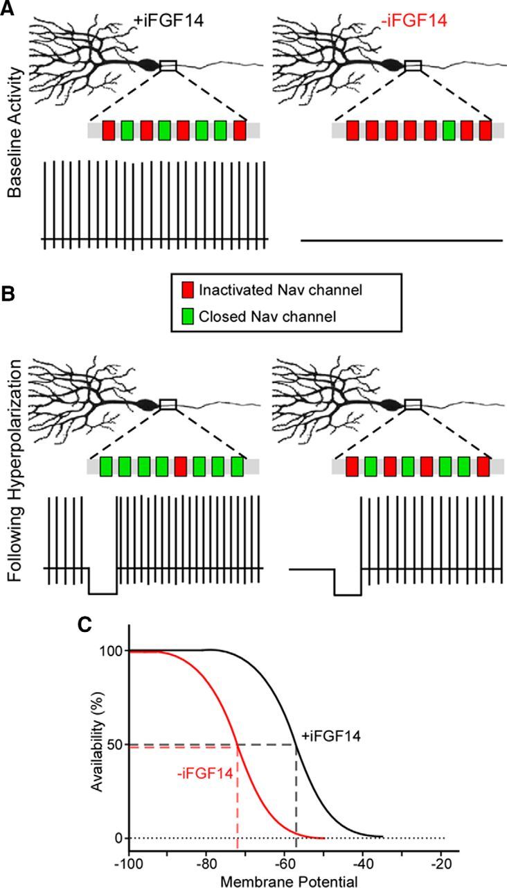 Figure 11.