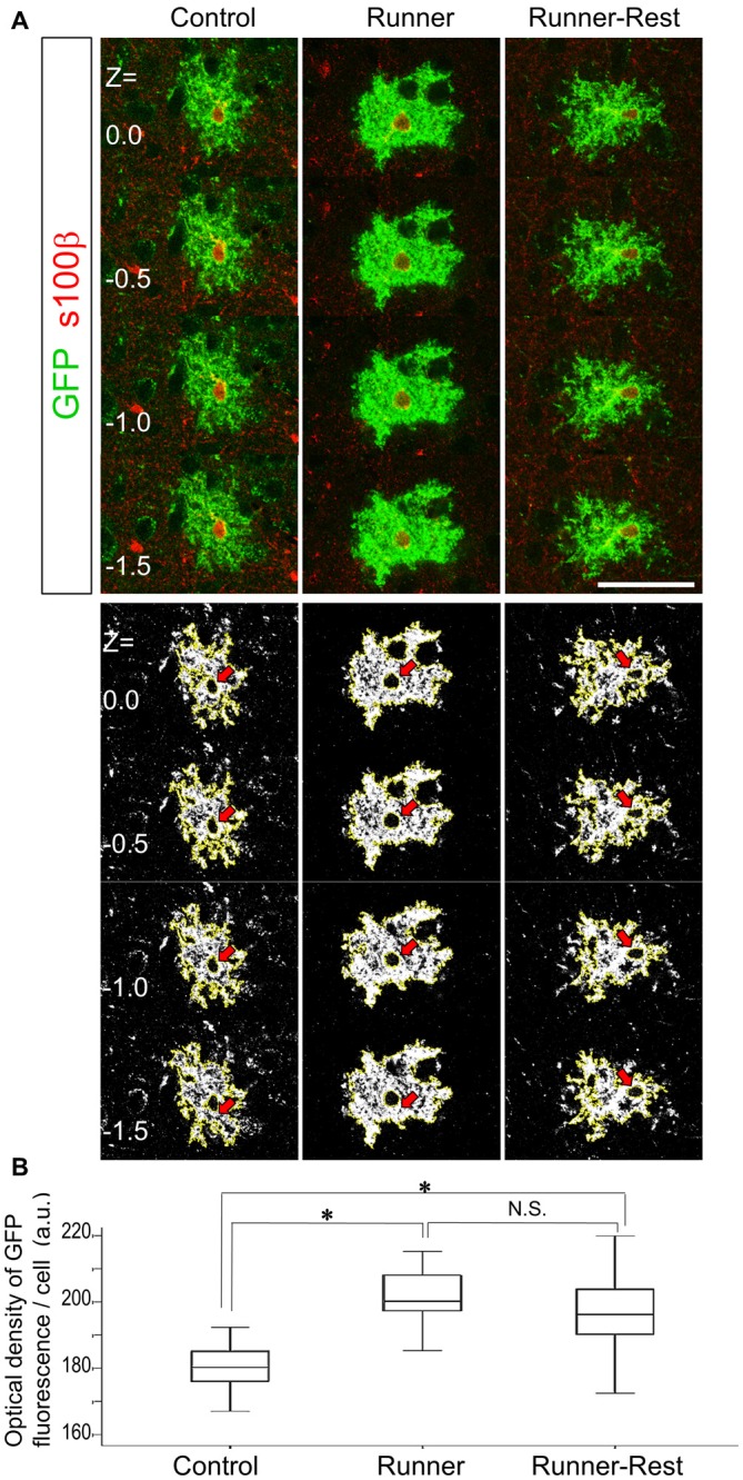 Figure 4