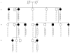Figure  1.