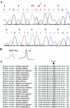 Figure  2.