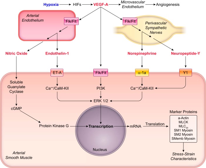 FIGURE 11.