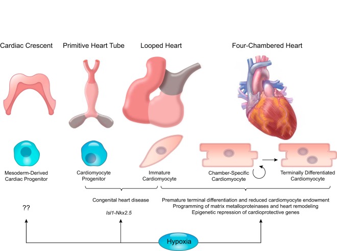 FIGURE 10.