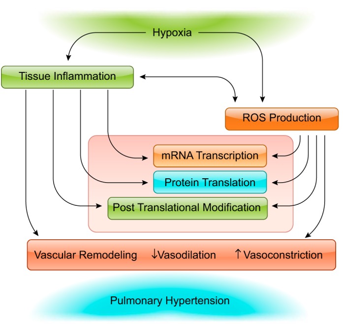 FIGURE 12.