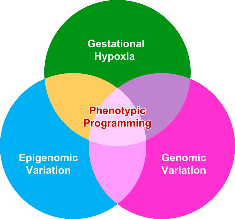 FIGURE 14.