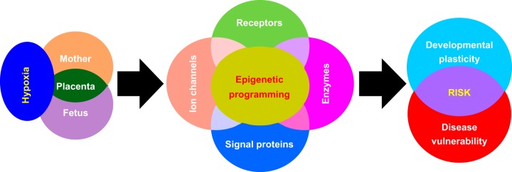 FIGURE 1.