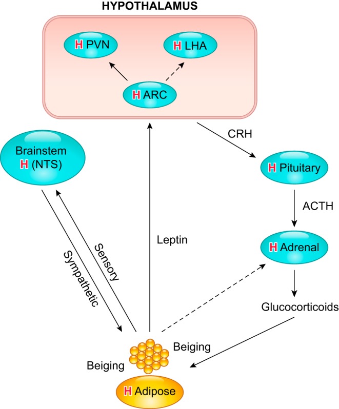 FIGURE 13.