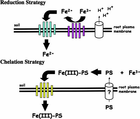 Fig. 1.