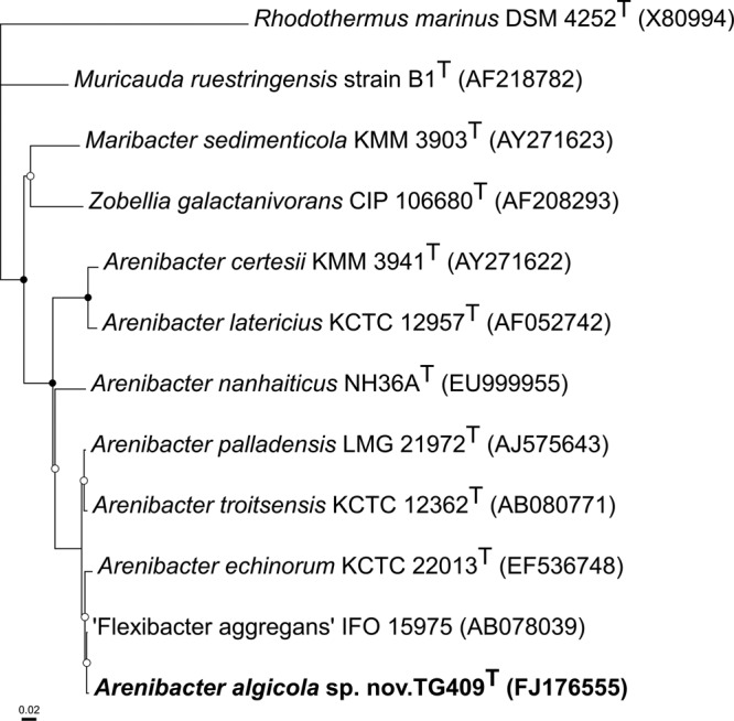 FIG 2