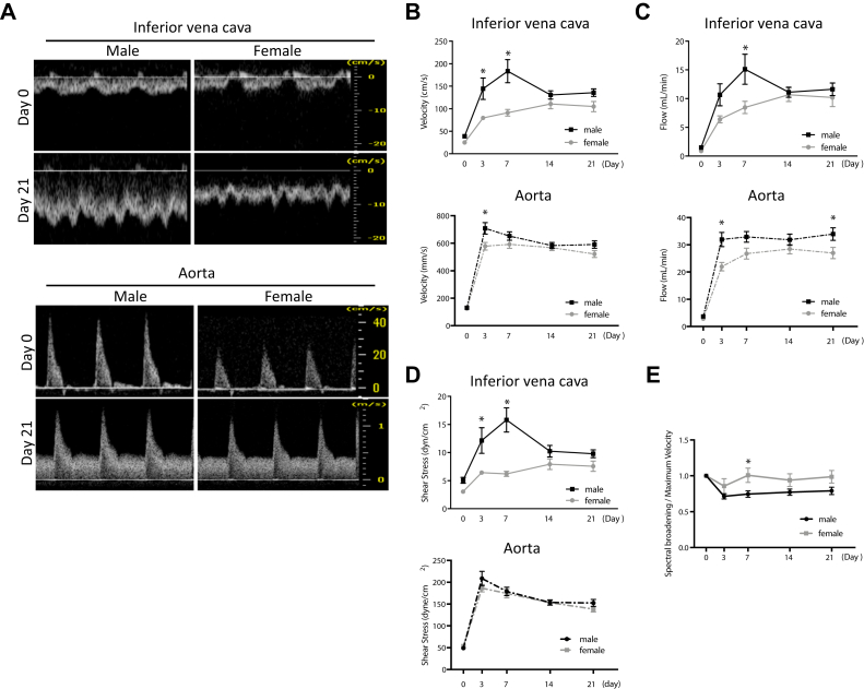 Fig 3