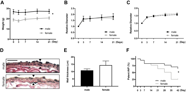 Fig 2