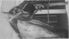 150-9