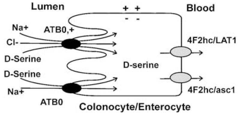 FIG. 5