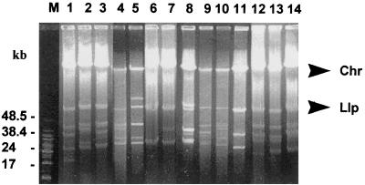 FIG. 3