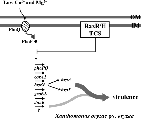 FIG. 8.