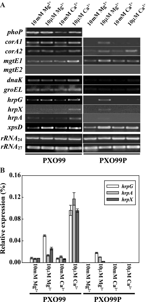 FIG. 5.