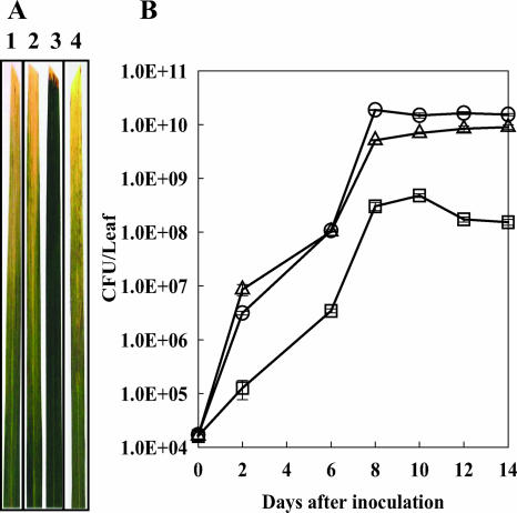 FIG. 3.