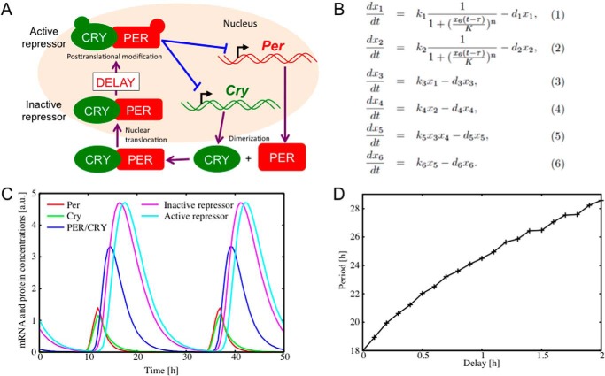 FIGURE 5.