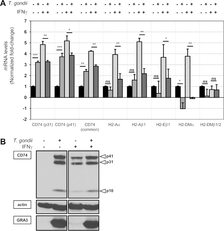 FIG 1