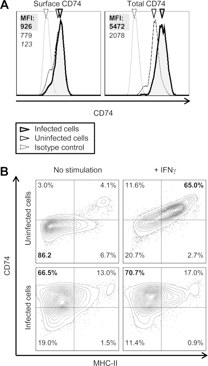 FIG 4