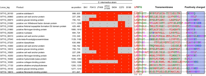 FIG 3