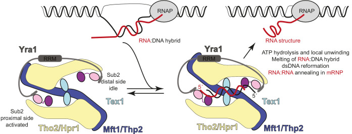 Figure 6.