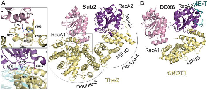 Figure 5.