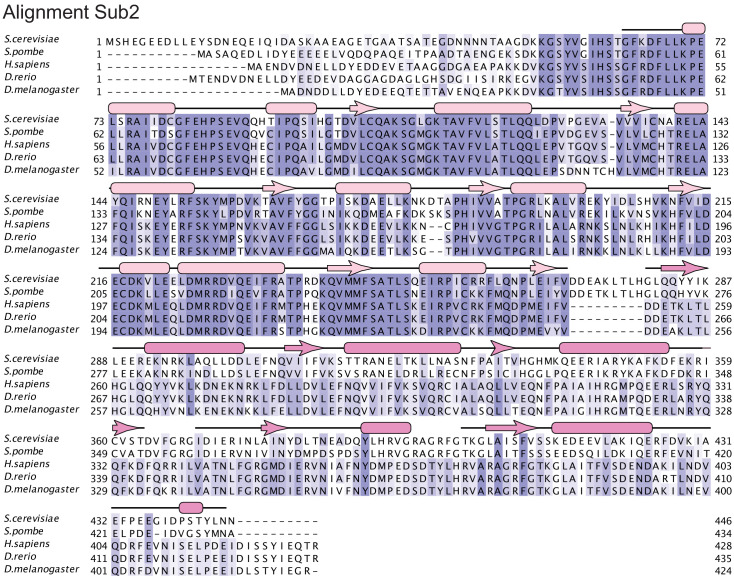 Figure 3—figure supplement 5.