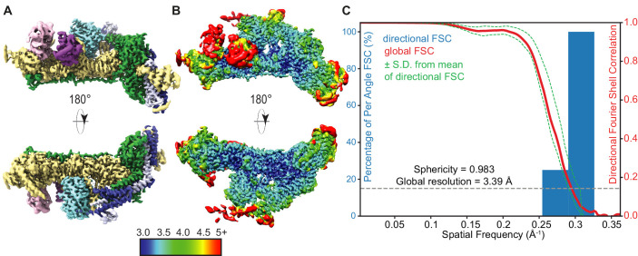 Figure 2—figure supplement 2.