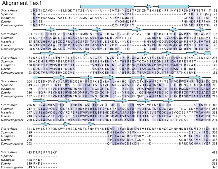 Figure 3—figure supplement 4.