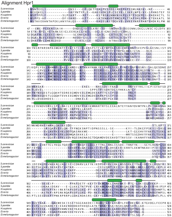 Figure 3—figure supplement 3.